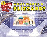 Book What Makes a Blizzard? (Let's-Read-and-Find-Out Science 2) free