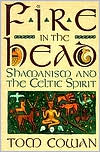 Book Fire in the Head: Shamanism and the Celtic Spirit free