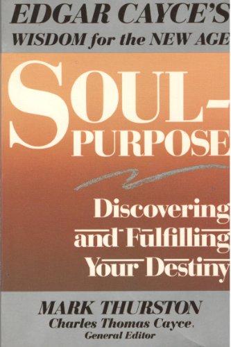 Book Soul-Purpose: Discovering and Fulfilling Your Destiny free