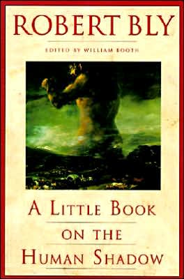 Book A Little Book on the Human Shadow free