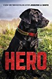 Book Hero (Hero, 1) free