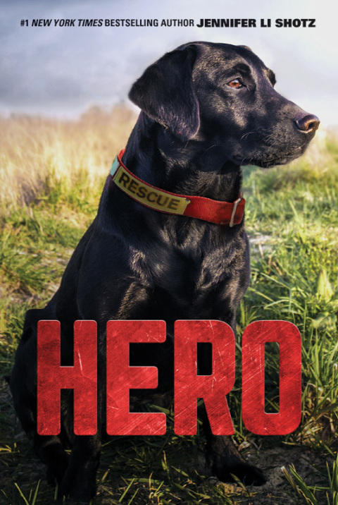 Book Hero free
