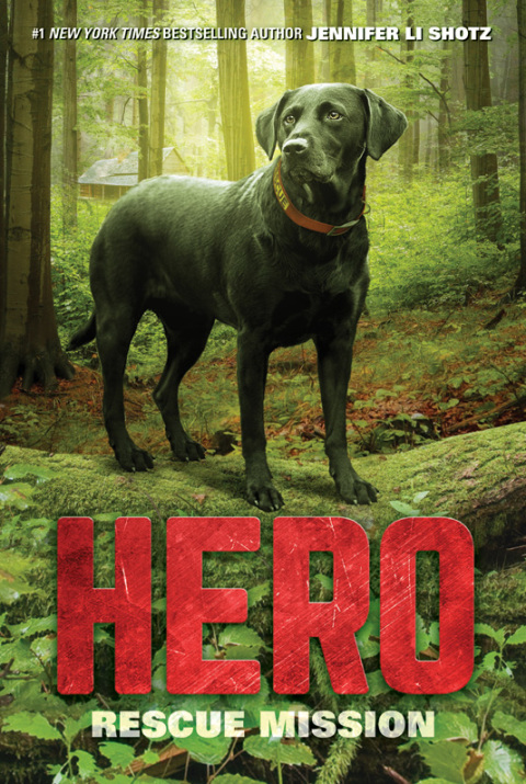 Book Hero: Rescue Mission free
