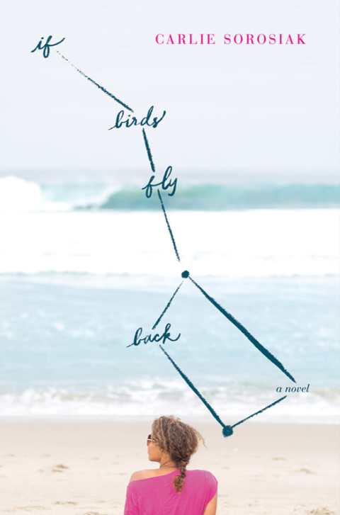 Book If Birds Fly Back free