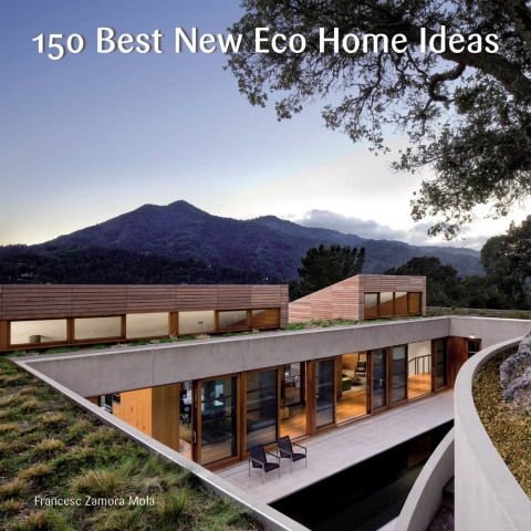 Book 150 Best New Eco Home Ideas free