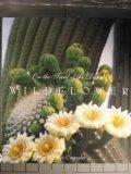Book On the Trail of the Desert Wildflower free