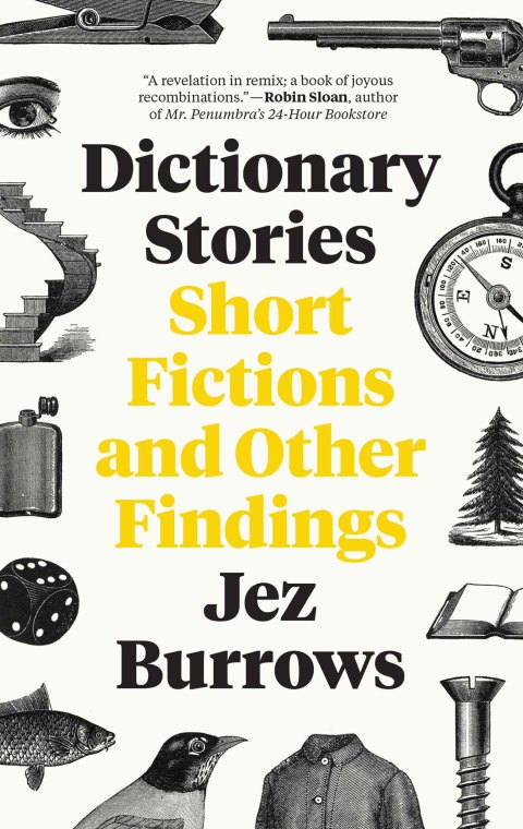 Book Dictionary Stories: Short Fictions and Other Findings free