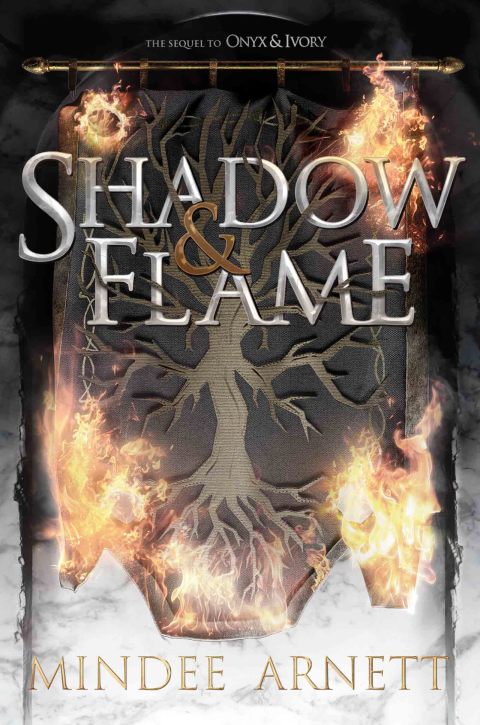 Book Shadow & Flame free