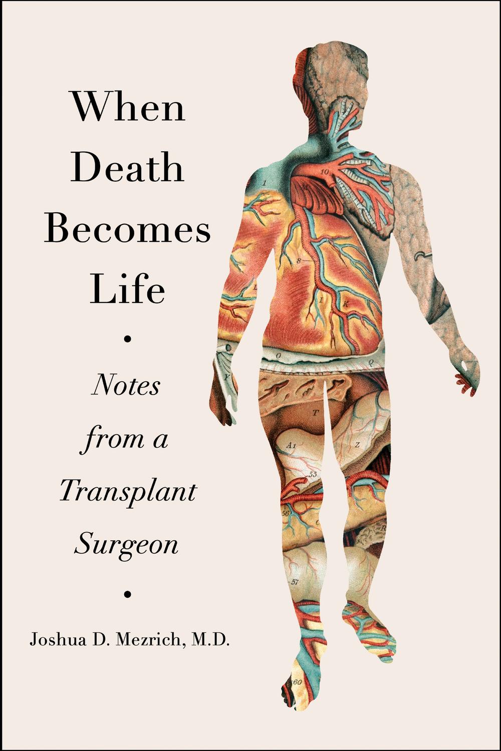 Book When Death Becomes Life free