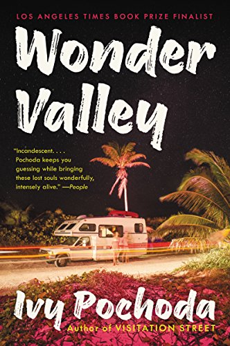 Book Wonder Valley: A Novel free