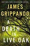 Book A Death in Live Oak: A Jack Swyteck Novel free