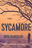 Book Sycamore: A Novel free