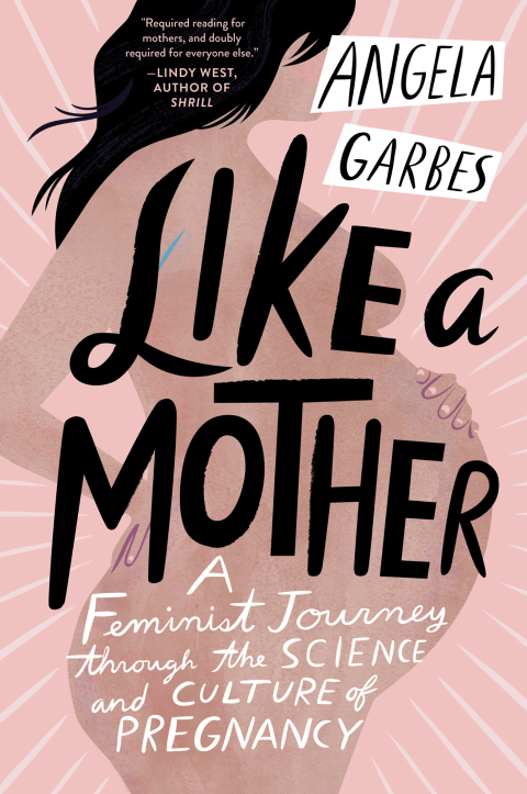 Book Like a Mother: A Feminist Journey Through the Science and Culture of Pregnancy free