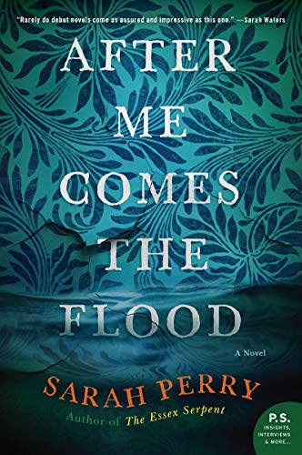 Book After Me Comes the Flood: A Novel free