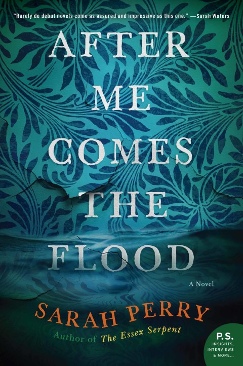 Book After Me Comes the Flood free