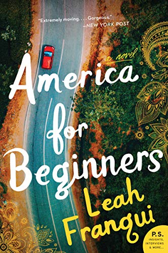 Book America for Beginners: A Novel free