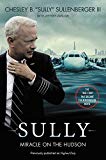 Book Sully [Movie TIe-in] UK: My Search for What Really Matters free