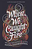 Book When We Caught Fire free