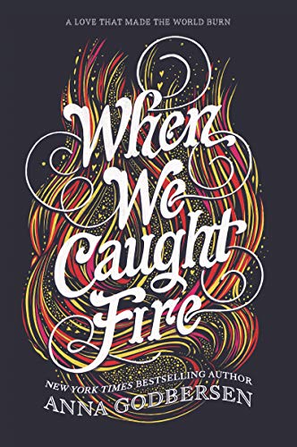 Book When We Caught Fire free