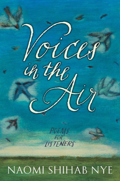 Book Voices in the Air free