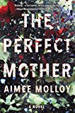 Book The Perfect Mother: A Novel free