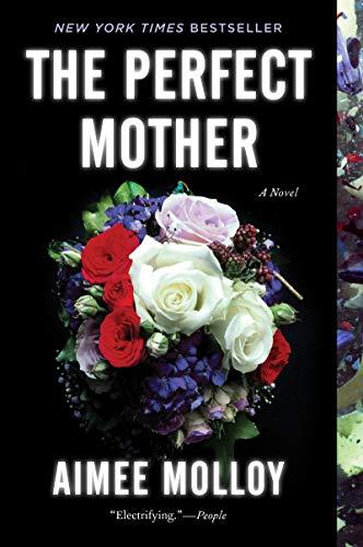Book The Perfect Mother: A Novel free