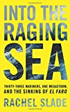 Book Into the Raging Sea: Thirty-Three Mariners, One Megastorm, and the Sinking of El Faro free