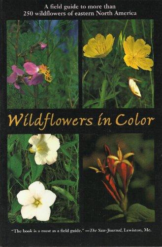 Book Wildflowers in Color: A Field Guide to More Than 250 Wildflowers of Eastern North America free