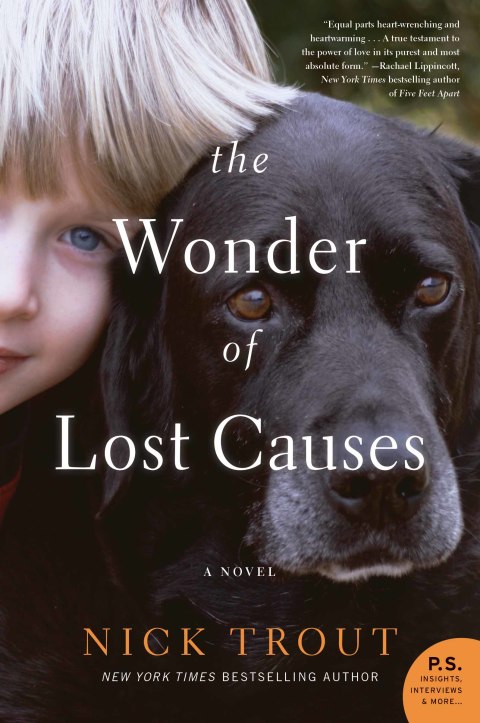 Book The Wonder of Lost Causes free