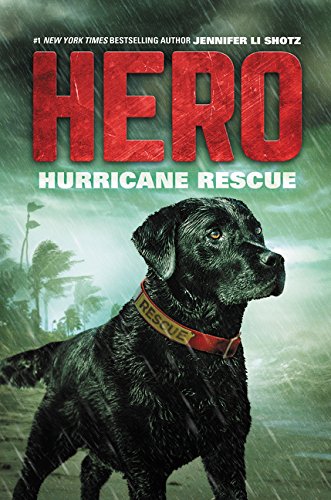 Book Hurricane Rescue (Hero) free
