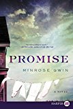 Book Promise: A Novel free