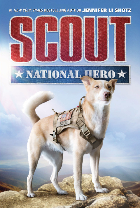 Book Scout: National Hero free