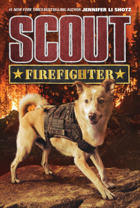 Book Scout: Firefighter free