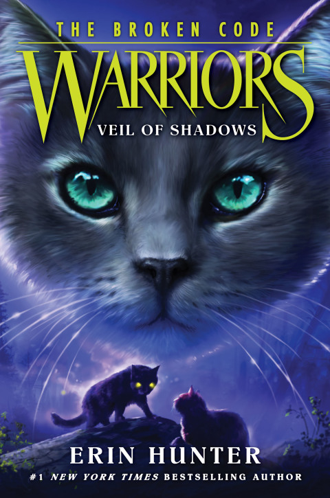Book Warriors: The Broken Code #3: Veil of Shadows free