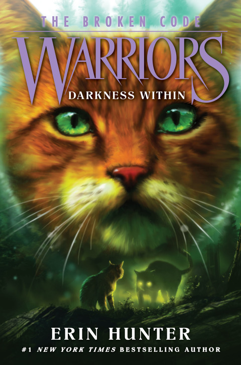Book Warriors: The Broken Code #4: Darkness Within free
