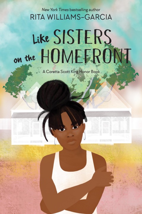 Book Like Sisters on the Homefront free