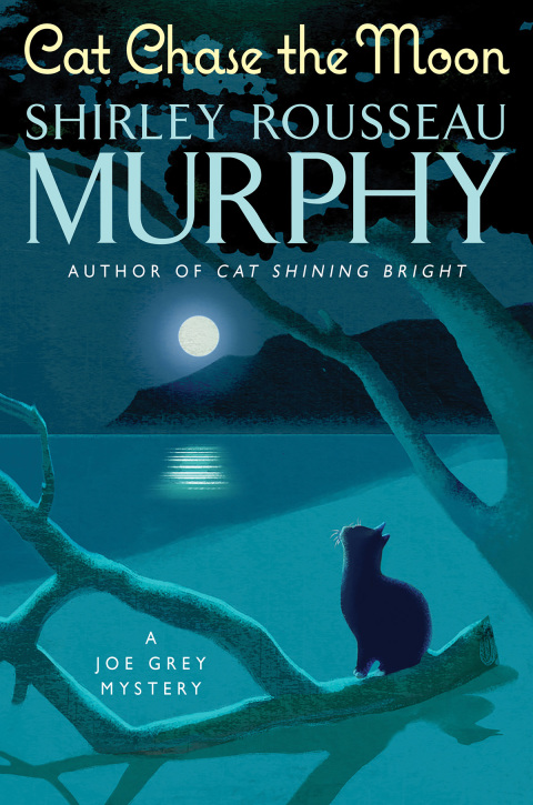 Book Cat Chase the Moon free