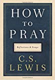 Book How to Pray: Reflections and Essays free