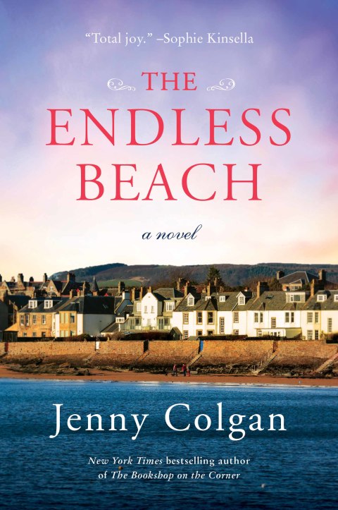 Book The Endless Beach: A Novel free