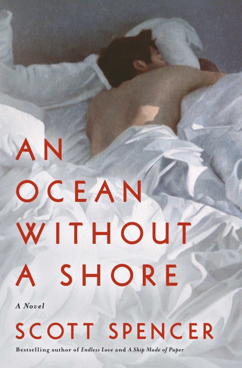 Book An Ocean Without a Shore free