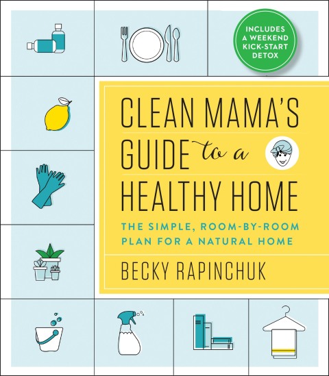 Book Clean Mama's Guide to a Healthy Home free