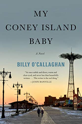 Book My Coney Island Baby: A Novel free