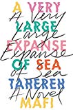 Book A Very Large Expanse of Sea free
