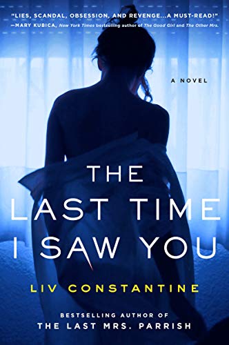 Book The Last Time I Saw You: A Novel free