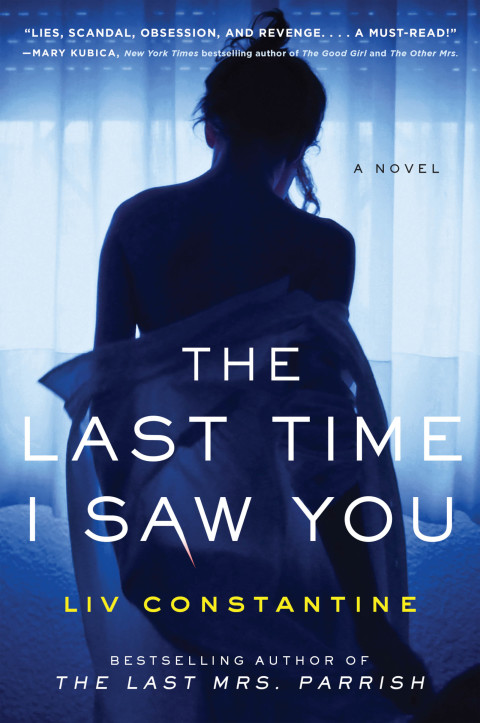 Book The Last Time I Saw You: A Novel free