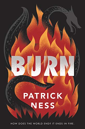Book Burn free