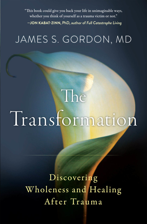 Book The Transformation free