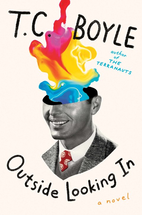 Book Outside Looking In: A Novel free
