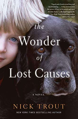 Book The Wonder of Lost Causes: A Novel free