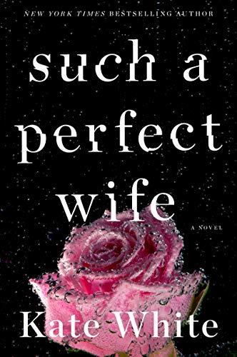 Book Such a Perfect Wife: A Novel free